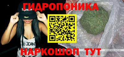тгк Шебекино