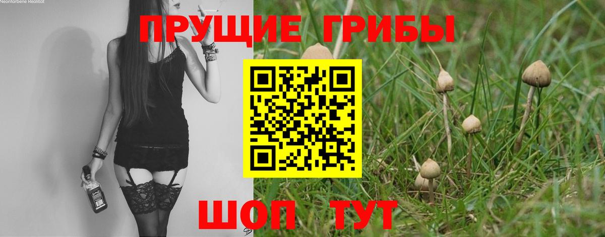 Галлюциногенные грибы мухоморы  Вход с VPN  Бугуруслан 